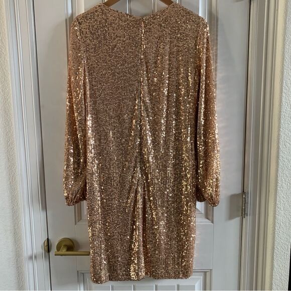 Preston & York Rosa Jewel Neck Long Blouson Sleeve Sequin Dress | NWT | Size 8 - Picture 3 of 6
